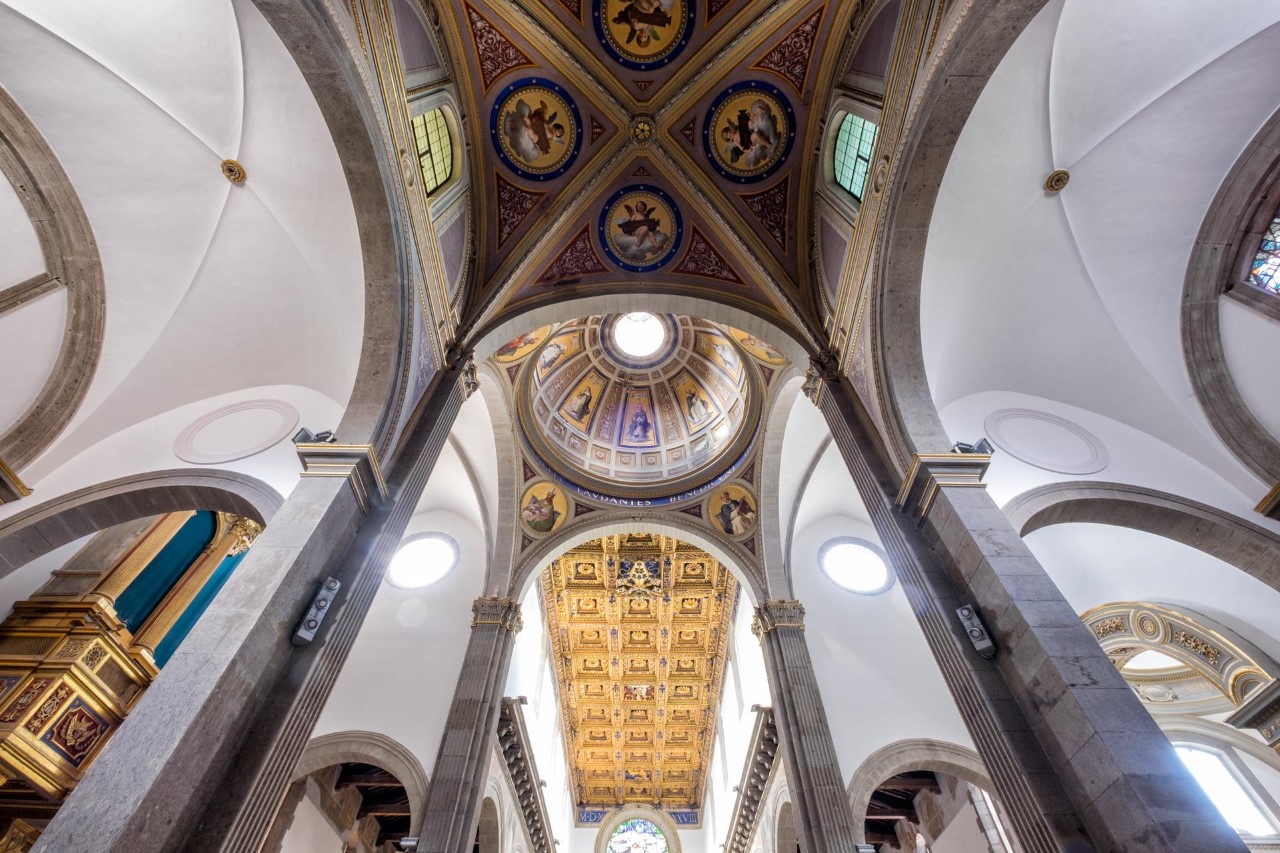 Basilica interno Anto 50×70